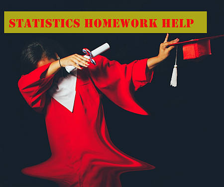 Statistics Homework Help Online